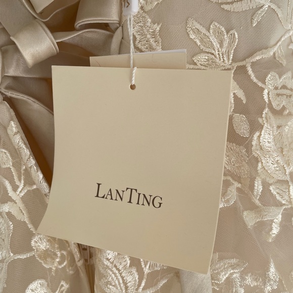 Gorgeous champagne lace wedding gown - Picture 10 of 12